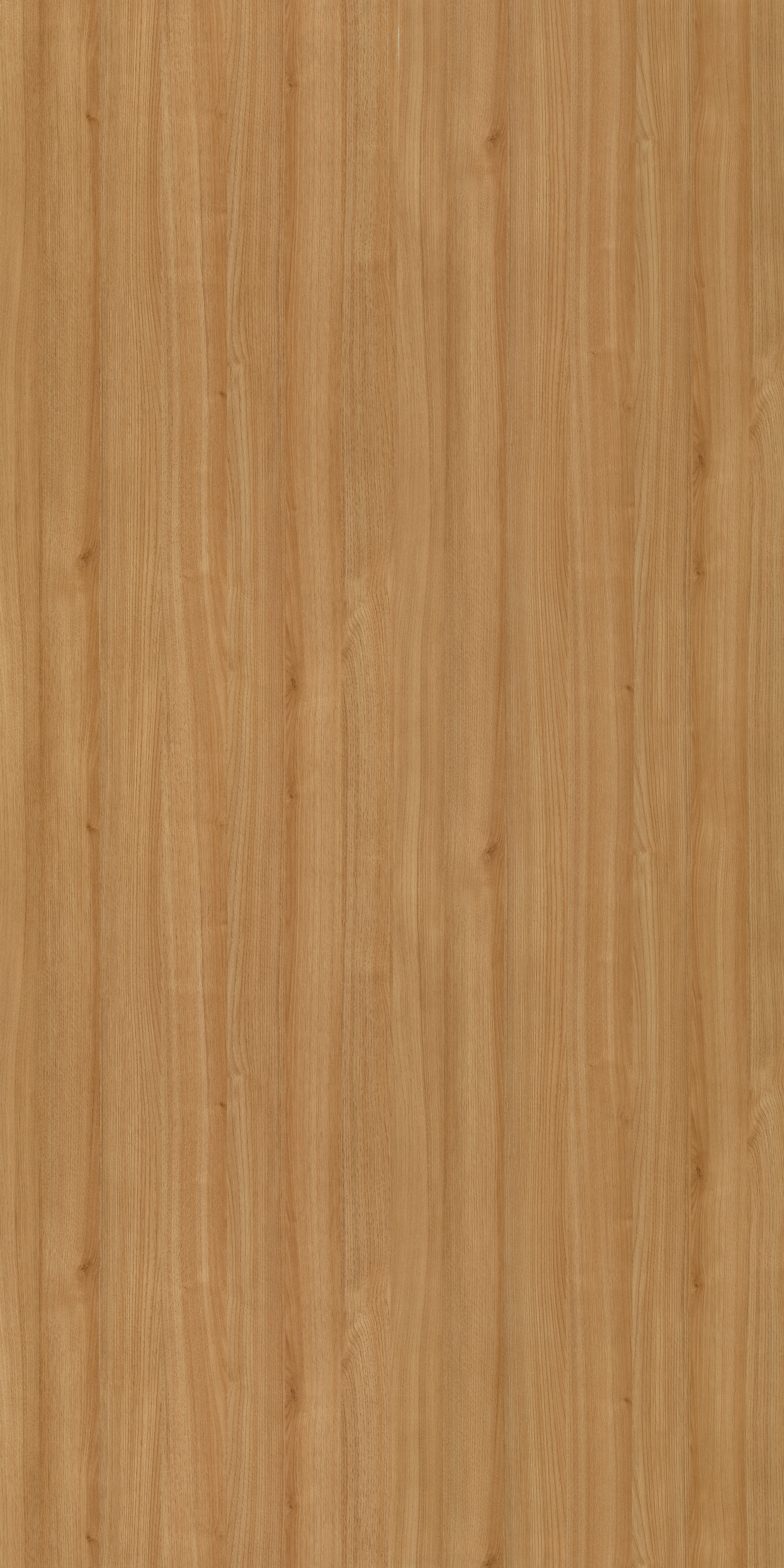 7201 RED OAK 
